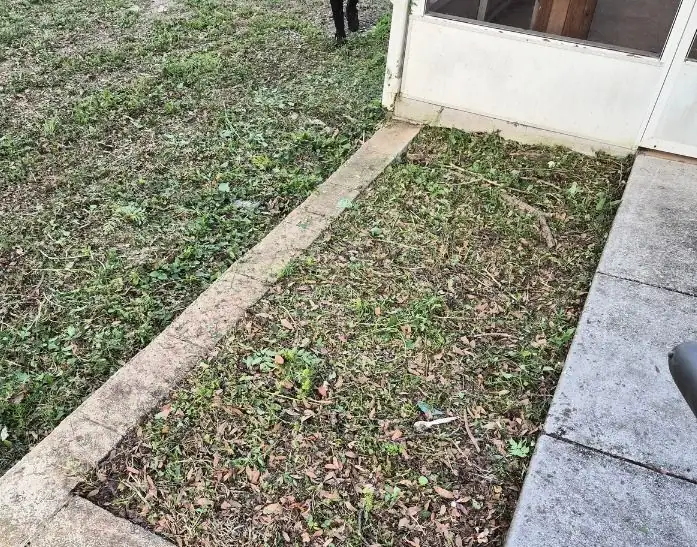 After: an overgrown strip by a screen room cut back to the curb, a LoLo Lawncare job in the Tampa area