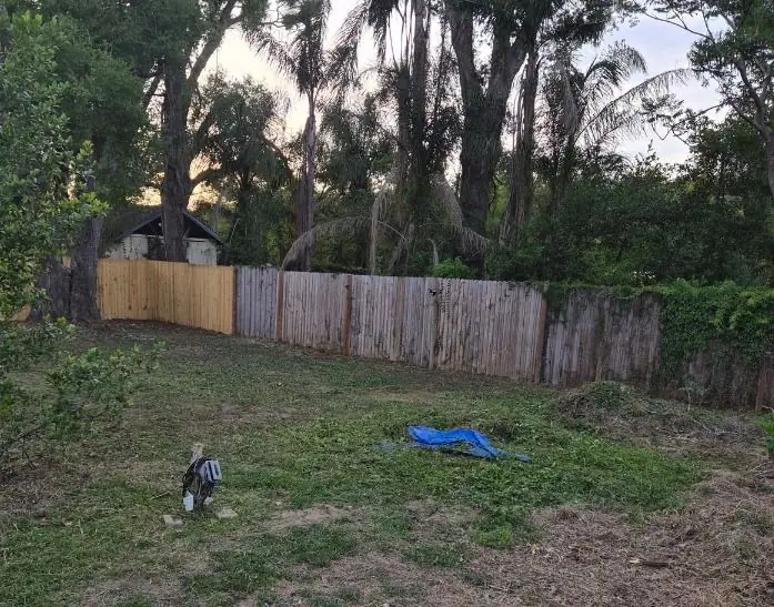 An overgrown backyard cleared to the fence by LoLo Lawncare