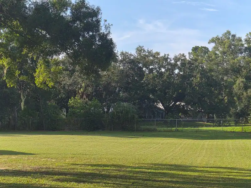 A wide cut lawn under live oaks, maintained by LoLo Lawncare