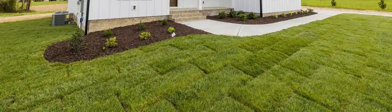 Fresh sod laid in a staggered pattern